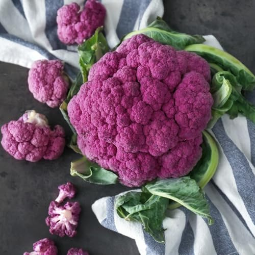semi di cavolfiore, semi di cavolfiore, acquistare da orto invernale semi di invernali vecchi rare 300pcs