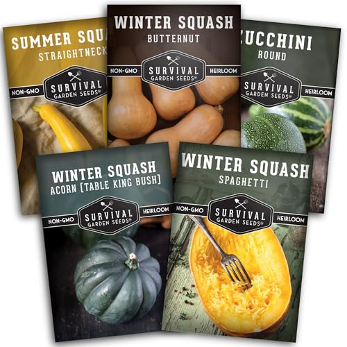 Squash Seeds Collection for Planting - 5 Heirloom Variety Pack with Summer & Winter Types: Round Zucchini, Yellow, Spaghetti, Butternut, Acorn - Non GMO Open Pollinated - Survival Garden Seeds
