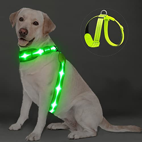 PZRLit LED Hundegeschirr Leuchtend für Hunde, Leuchtgeschirr Hundeweste Wiederaufladbar, Weich Gepolstert, Verstellbar und Reflektierend, Beleuchtetes Hundegeschirr (Grün, Mittel)