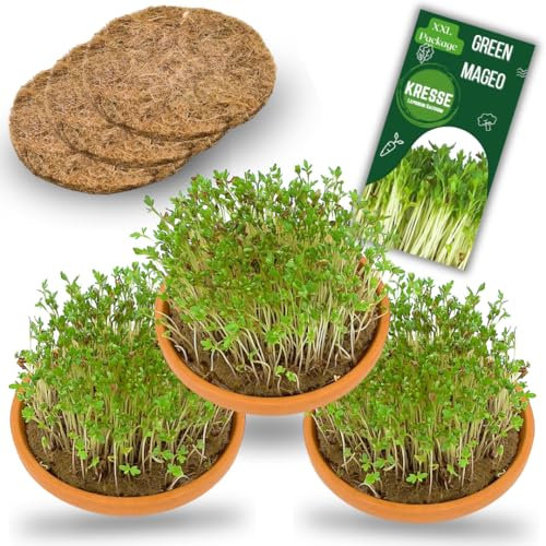 Green MaGeo Kit de culture de cresson – 3 bacs de culture avec maxi paquet de graines de cresson et tapis de culture en jute, idéal pour la culture du cresson et comme kit de culture microgreens