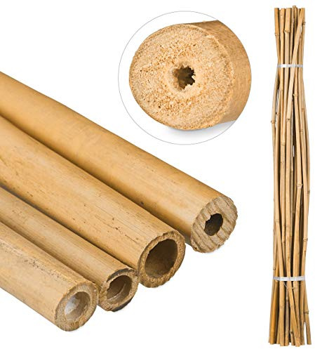 Relaxdays 75 x Bambusstäbe 150cm, aus natürlichem Bambus, Bambusstangen als Rankhilfe oder Deko, Bambusrohre zum Basteln, Natur