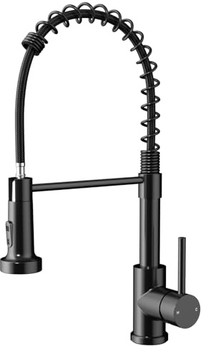 Rainsworth rubinetto da cucina estraibile in acciaio inossidabile