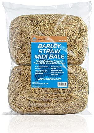 Swell Barley Straw Maxi 6 pack. Barley Straw for Ponds to act as Pond Cleaner and Algae Treatment