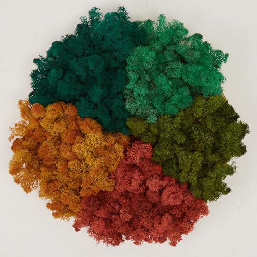 Prefleur Preserved Reindeer Mix Craft Moss Natural Green DIY Kit Gardenning Art Wall Decor Florist Easter Table Decor Wedding Decor (1lb)(Green-05 Fall-Yellow Red-Orange Green-10-2 Blue)(Style-6)