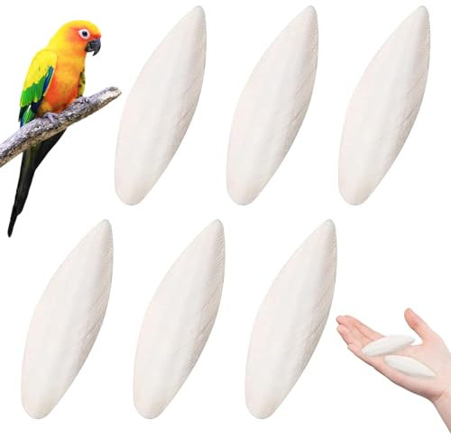 WUSANNA 6 Stück Sepiaschalen Sepiaschalen für Schildkröten Sepiaschalen für Vögel Sepiaschalen für Schnecken Sepiaschale Geeignet für Schildkröten Vögel Reptilien Kalzium und Mineralstoffvorräte