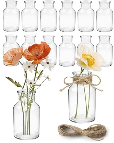12 Mini Vasi in Vetro 125ml Piccoli Vasi con 5m Corda di Juta Vasi Decorativi in Stile Vintage per Tavolo Perfetti per Matrimonio Feste e Decorazioni Casa