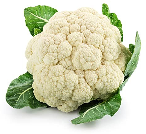 Cauliflower Plants, Cauliflower 'White Excel', 12 x Large Plug Plant Pack, Winter Vegetable Plants, Cauliflowers, Garden Veg, Garden Ready and Ready to Plant, Premium Quality Vegetables