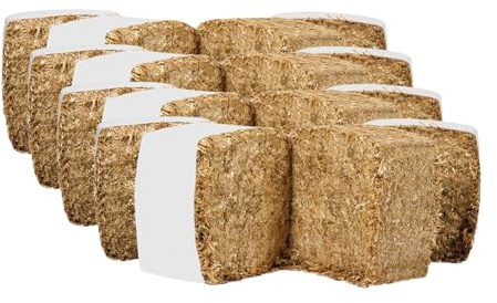 Litière en paille pour chevaux, poulets et lapins – Absorbe 200 % – Fond pour boîte de 4 paquets 52 kg / 4 m²