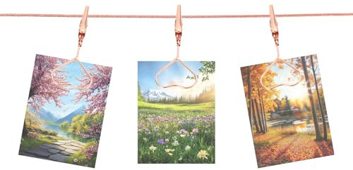 QUARKZMAN Cavo in Acciaio per Appendere Foto al Muro con 10 Clip a Cuore, Asta Regolabile da 5 Ft per Appendere Cornici Foto Collage Decorativo da Muro per Cartoline Arte Oro Rosa