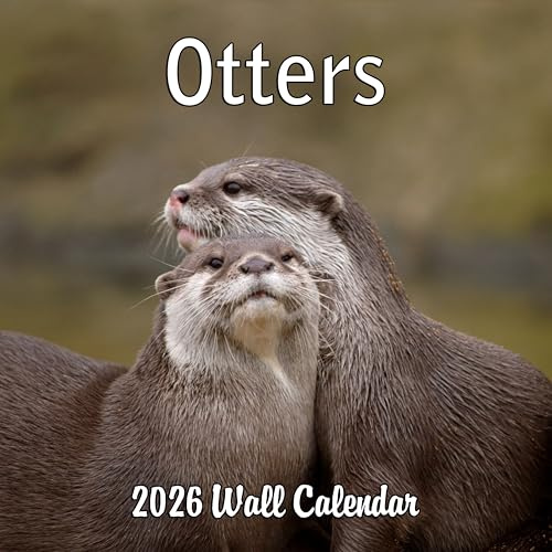 2027 Otters Monthly Wall Calendar | Cute Animals Calendar 2026-2027