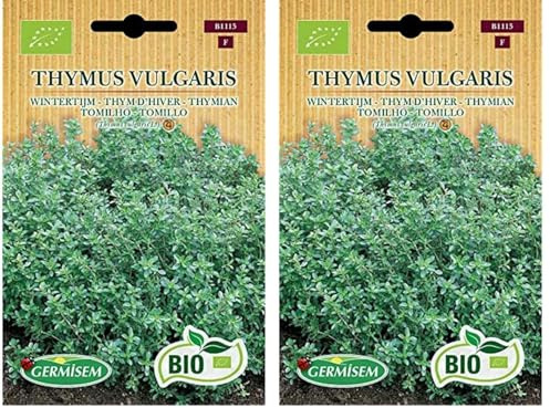 Germisem Biologico Thymus Vulgaris Semi di Timo 0.5 g (Confezione da 2)