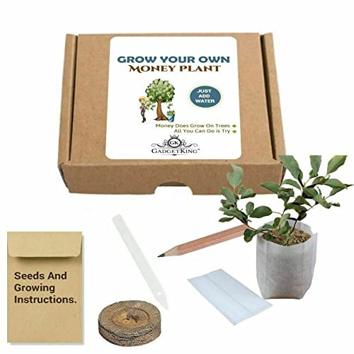 Grow Your Own Money Tree Plant Xmas Gift Idea Present for Him Husband Boyfriend Dad Men Man Her Wife Son Daughter Novelty Boss