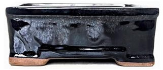 Glazed Ceramic Bonsai Pots without trays (Black, 16cm)
