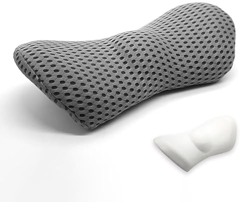 Edumov Ergonomic Lumbar Support Cushion,Comfortable Memory Foam Back Support for Office Chair, Lumbar Pillow with Breathable 4D Mesh for Car Seat Back Pain Relief(Grey)