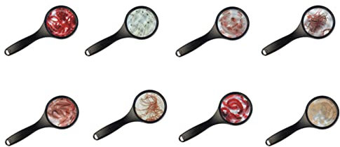 Lebendfutter SAHAWA Futter für Fische freie Auswahl viele Sorten 45 ml (20 Stück)