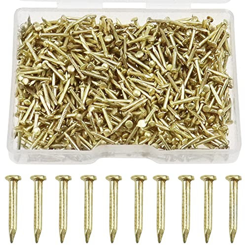 UBERMing 1 X 10mm Clavos Pequeños Dorados 80g Clavos de Madera DIY Clavos Dorados de Cabeza Redonda con Caja de Almacenamiento para Madera Muebles Manualidades (Aprox. 800 Unidades)