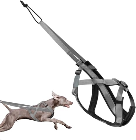 Arnés De Tiro para Perros | Arnés Reflectante para Perros Grandes,Correa Ajustable Y Cómoda para Entrenamiento De Trineo Paseos Y Ejercicio Al Aire Libre