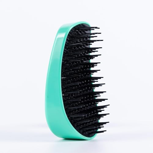 Amazon Basics Detangling Palm HairBrush, Flexible Bristles, Eliminates Knots, Gently Detangles, For All Types, Wet or Dry