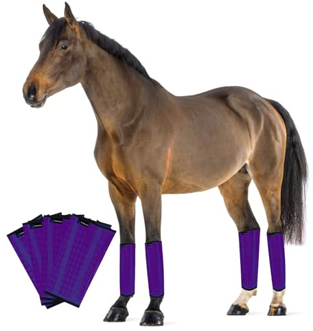 FOXLVDA Horse Fly Boots - Fly Boots for Horses Set of 4, Comfortable Horse Leggings, Mesh Material Design with Metal Support Bars for Reduces Stomping & Leg Fatigue (Purple, Large)
