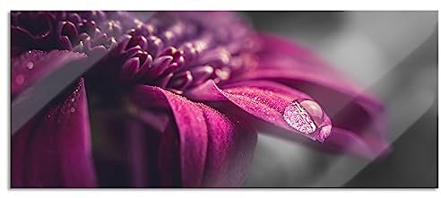 Pixxprint Glasbild Panorama, Wandbild aus Echtglas, Nahaufnahme Tropfen auf lila Blume B&W Detail, 120x50 cm, inkl. Aufhängung und Abstandshalter