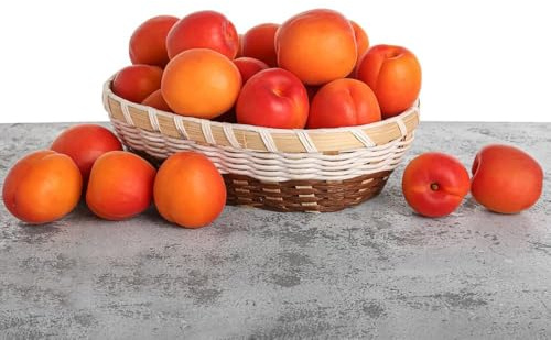 Semillas resistentes de albaricoquero semillas organicas de jardin balcón resistentes, columnar resistente albaricoque, para 22pcs