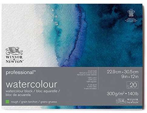Winsor & Newton Professional Watercolor Paper Block, 9 x 12, Rough