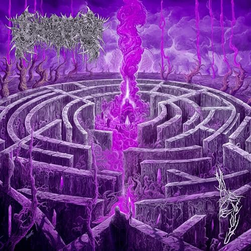 Maze Envy (Jewel Case)