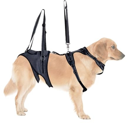 Rukjmqi Harnais de levage pour chien - Aide à la rééducation pour animaux de compagnie - Aide au transport en cas de restrictions de mouvement - Blessures - Entraînement pour la rééducation des chiens