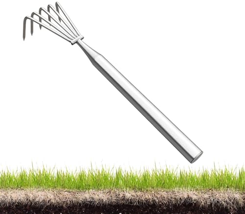 Rastrillo de jardín, herramienta de jardinería de mango largo de acero inoxidable | Herramienta de mano pequeña para cortar el paisaje, para desmalezar, pelar el suelo, plantar, al aire libre, jardín