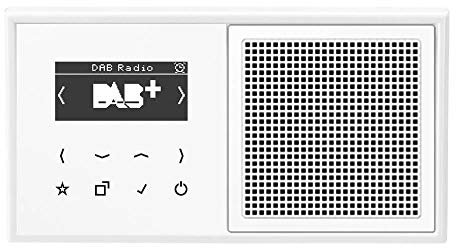 Jung Smart Radio DAB Komplett-Set Weiß Serie LS DABLS1WW mit Lautsprecher und 2-Fach Rahmen LS982WW