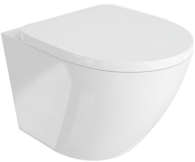 LAVITA Sofi - Cuvette de toilette sur pied avec système d'abaissement automatique et charnières métalliques - Abattant WC SoftClose - En céramique sans bord - Cuvette de toilette debout - 37 x 56,5 x