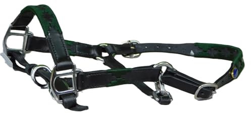 Tysons Breeches Lederhalfter Winny Polo Leder Halfter Minishetty Mini Shetty Minipony Schwarz Braun ZART ! (Shetty, Grün)