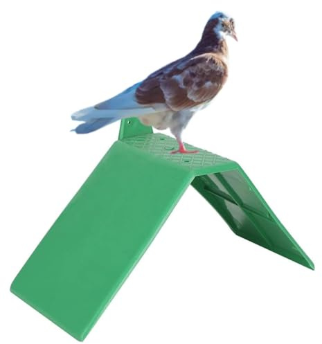10pcs Pigeon Break Rack, Petit Pigeon Break Rack Pigeon perchoir, Plastique Pigeon perchoir Coq perchoir léger Pigeon Break Rack Oiseaux perchoir Support Cage Accessoires Oiseaux Fournitures (Vert)