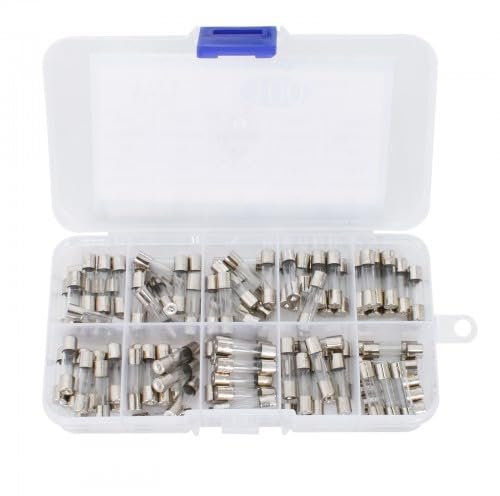 10 Werte 100 Stück Feinsicherung Sortiment,250V 0.2A 0.5A 1A 2A 3A 5A 6A 8A 10A 15A,5x20 MM Sicherung,Sicherungen,Feinsicherung Träge,Schmelzsicherung,Traege Glassicherung