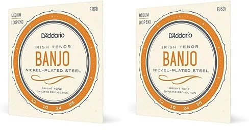 Daddario EJ63I Banjo Saitensatz (Packung mit 2)