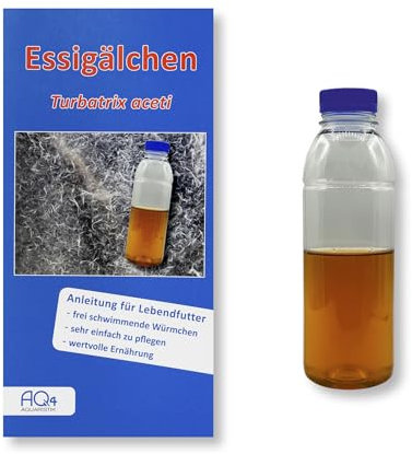 AQ4Aquaristik Lebendfutter - Essigälchen (Zuchtansatz in Nährflüssigkeit in Flasche mit Anleitung) - Lebendfutter für Fische im Aquarium - Essigwürmchen - Turbatrix aceti