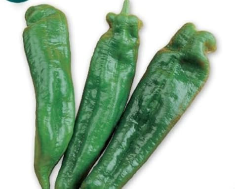 SEMILLAS PIMIENTO DULCE ITALIANO VERDECORA