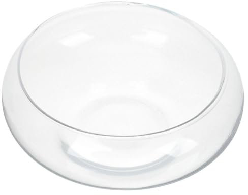 Toddmomy Glass Planter Pot for Succulents and Aquatic Plants - 23Cm Clear Bowl Planter for Fish Water Lilies and More - Multi-Functional Decorative Container for Home and Garden