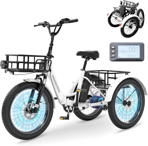 MOONCOOL E Bike Klapprad, 20 Elektrofahrräder für Herren Damen, 36V 20AH Akku, 250W Motor 45 Nm, LCD-Display, IP65 Wasserdicht, 3 Fahrmodi, mit Großen Körben & Fußstützen