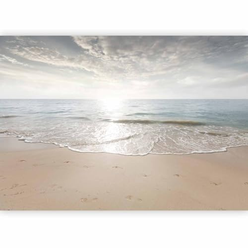 murando PREMIUM Fotomurales Playa Mar 350x256 cm Papel pintado