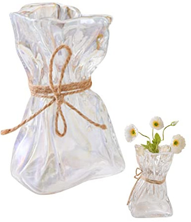Vaso in Vetro Trasparente Vaso in Vetro Trasparente a Forma Irregolare Minimalismo Moderno Vaso Per Fiori Per Arredamento Borsa in Vetro Vaso Per Fiori Vaso Per Fiori in Vetro Trasparente