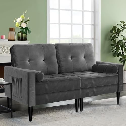 Aotumm Ciort 2-Sitzer-Sofa, Samt Couch mit 2 Kissen, Sitzkissen, Modernes Sofa in der Mitte des Jahrhunderts, kleine Sofas für Wohnzimmer/Wohnung/Schlafzimmer, Metallic-Grau