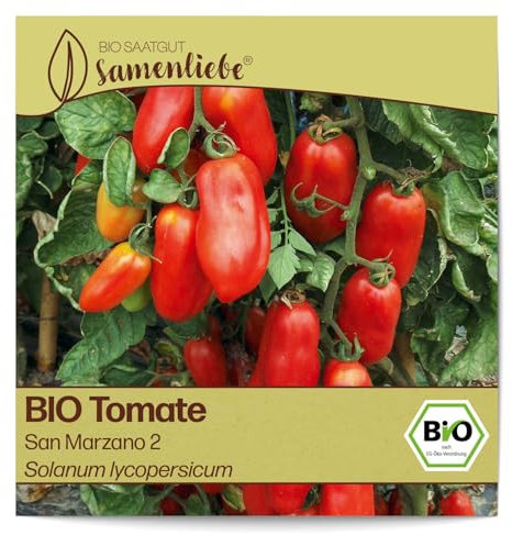 Samenliebe BIO Tomaten Samen alte Sorte San Marzano 2 italienische Tomate längliche Romatomate rot 10 Samen samenfestes Gemüse Saatgut für Gewächshaus Freiland und Balkon BIO Gemüsesamen