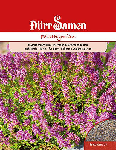 Feldthymian Samen Feldthymiansamen Thymian Pinkfarbende Blätter Steingarten Rabatten ca 200 Korn Saatgut Kräuter Garten Hochbeet Kübel Dürr Samen