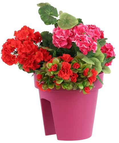 botle Jardinière de Balcon Ovale - 24,5 cm - 5 l - Fuchsia