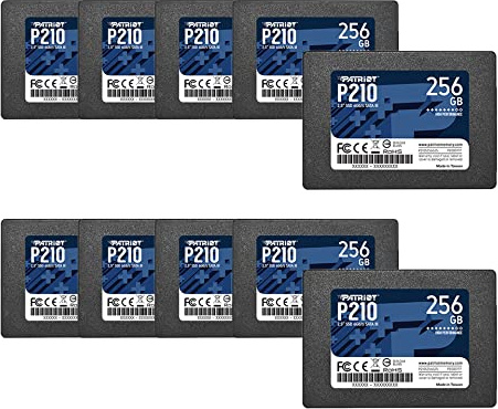 Patriot P210 SSD SATA 3 da 256 GB, disco SSD interno, 2,5 pollici, confezione da 10, quantità di 10 - P210S256G2510