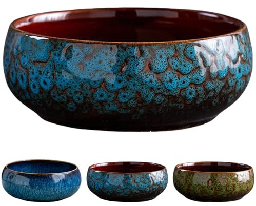 Fioriera a ciotola di loto, ciotole per piantare in acqua all'interno, fioriere in ceramica per piante da interno, vaso da fiori idroponico bianco, decorazione per interni (C)