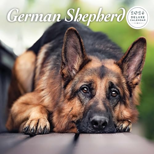 German Shepherd 2026 Deluxe Calendar