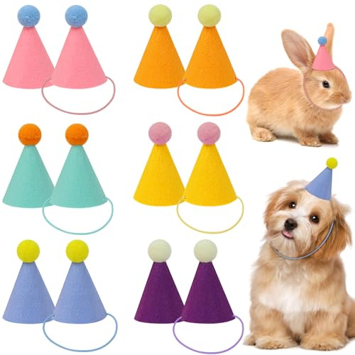 Ruispeed 12 Pezzi Mini Cappellini da Party per Peluche – Cappellini di Compleanno a Cono per Bambole, Cani, Gatti, Conigli & Cuccioli, Decorazioni Colorate per Feste di Compleanno per Bambini