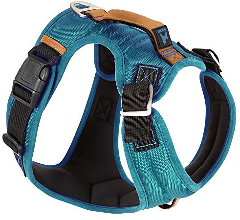 Gooby - Pioneer Hundegeschirr für kleine Hunde, Kopfgeschirr mit Kontrollgriff und Sicherheitsgurt, türkis, Größe M